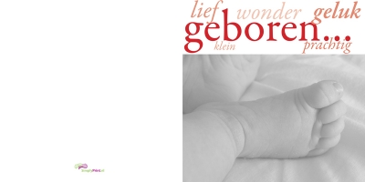 Lief