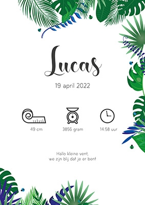 Geboorteposter Tropisch Blauw