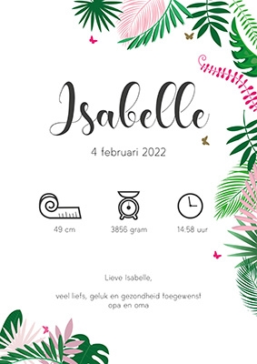Geboorteposter Tropisch Roze